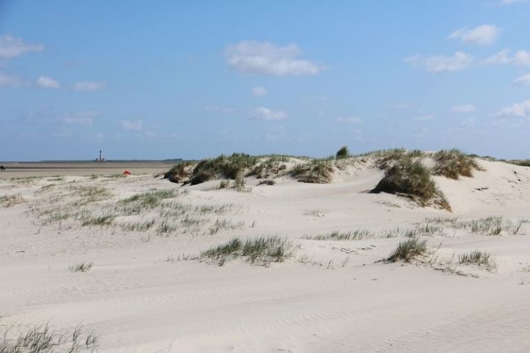 Mit dem Auto in den Dänemark-Urlaub