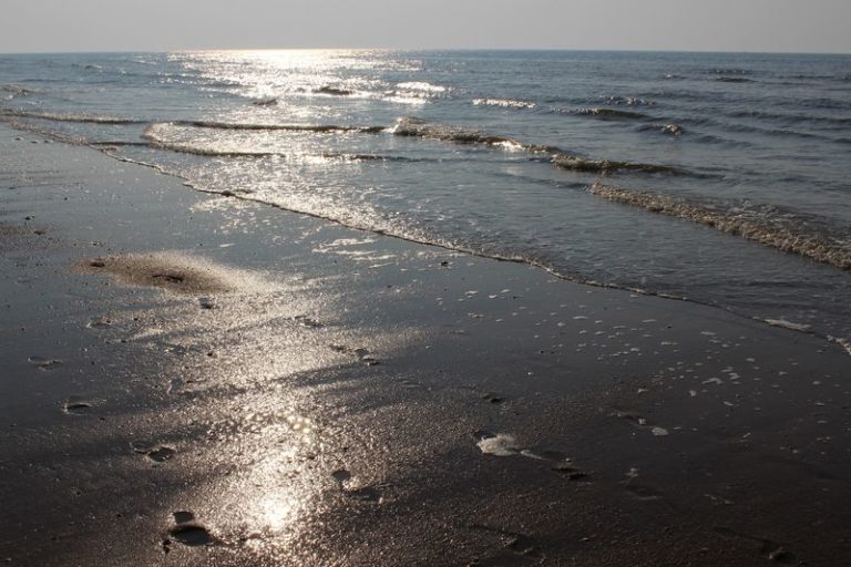 Erlebnisse am Hvidbjerg Strand in Dänemark